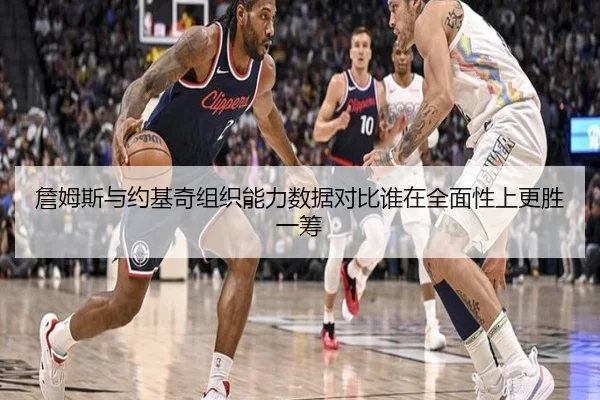 詹姆斯与约基奇组织能力数据对比谁在全面性上更胜一筹