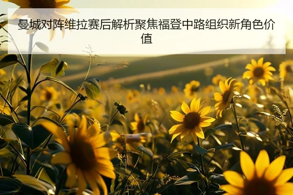 曼城对阵维拉赛后解析聚焦福登中路组织新角色价值