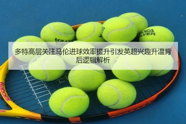 多特高层关注马伦进球效率提升引发英超兴趣升温背后逻辑解析