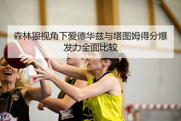 森林狼视角下爱德华兹与塔图姆得分爆发力全面比较