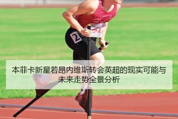 本菲卡新星若昂内维斯转会英超的现实可能与未来走势全景分析